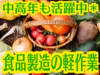 若手~60代・70代後半の中高年・シニアまで活躍中!!